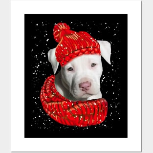 Staffordshire Bull Terrier Wearing Red Hat And Scarf In Snow Posters and Art